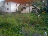 plac_4