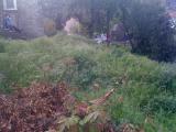 plac_1