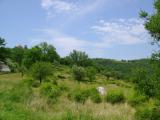 DSC01767_1