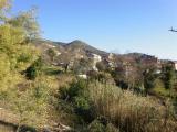 02-09-2011_12-26-21.jpg