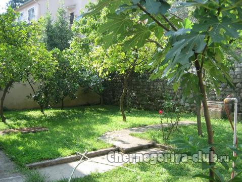 ��� / ����� � ������� �� 540&nbsp;000 &euro;