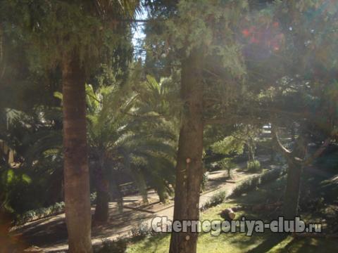 Park