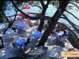 увеличить изображение фото т еррсас т еррсас