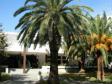 Hotel Olympic Ulcinj 