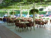 Garden cafe Milka